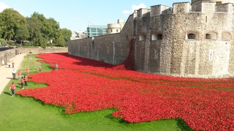 Downloaded October 2014 034