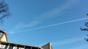 January 2015 walk and others 001