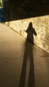 January 2015 walk and others 003