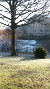 January 2015 walk and others 006