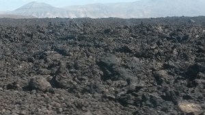 Feb and March 2015 139