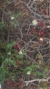 Feb and March 2015 147