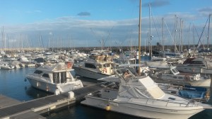 Feb and March 2015 157