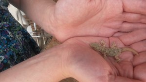 Andalucia with Charles June 2015 232