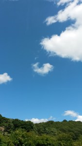 Heptonstall Festival and Beginning of Julyend June 2015 071