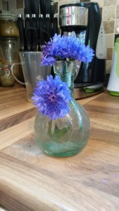 Heptonstall Festival and Beginning of Julyend June 2015 081