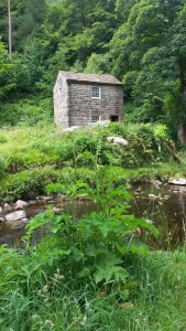 Heptonstall Festival and Beginning of Julyend June 2015 095