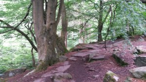 Heptonstall Festival and Beginning of Julyend June 2015 099