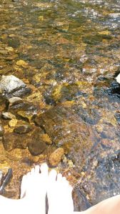 Heptonstall Festival and Beginning of Julyend June 2015 105