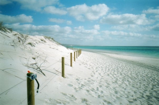 3026_68533284234_507009234_1435977_3296040_n