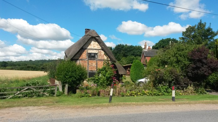 end-july-and-aug-2016-213