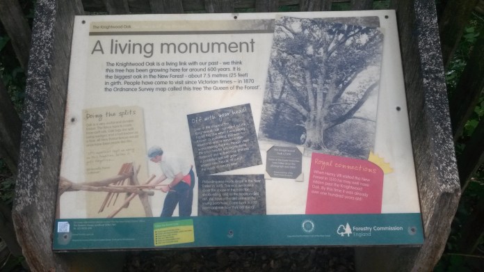 end-july-and-aug-2016-245