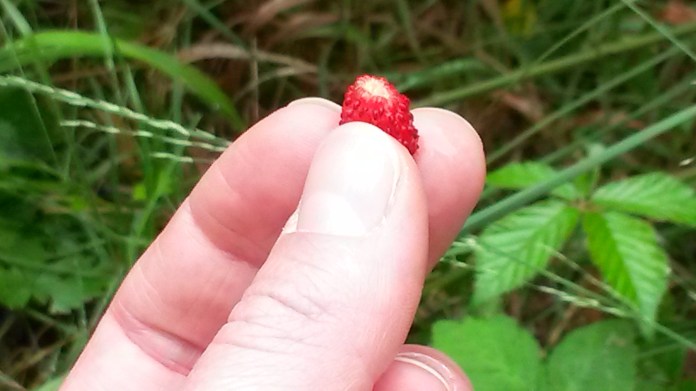 end-july-and-aug-2016-332